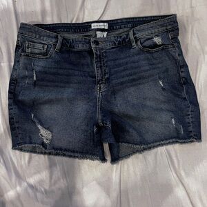 Lane Bryant Denim Cutoff Shorts - Blue Distressed pair of Women’s Shorts